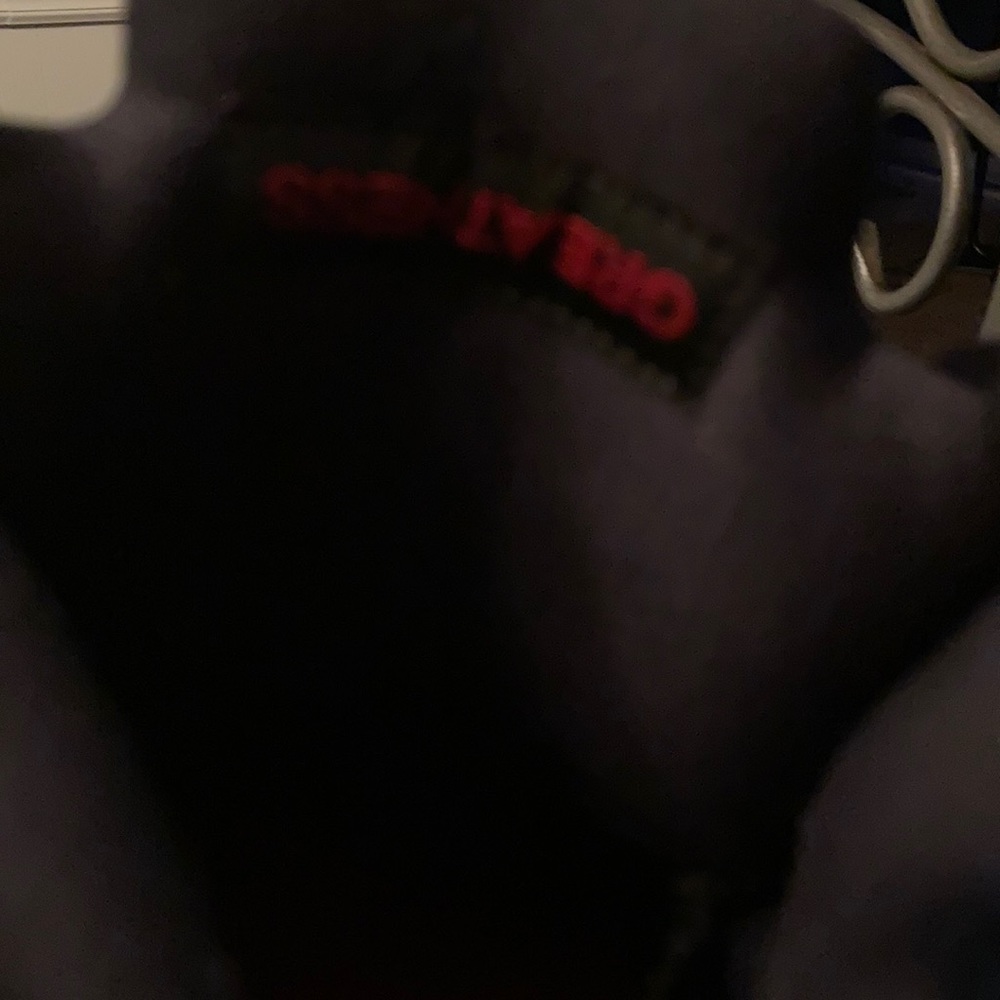 Jordan 5 satin bred - Picture 4 of 6